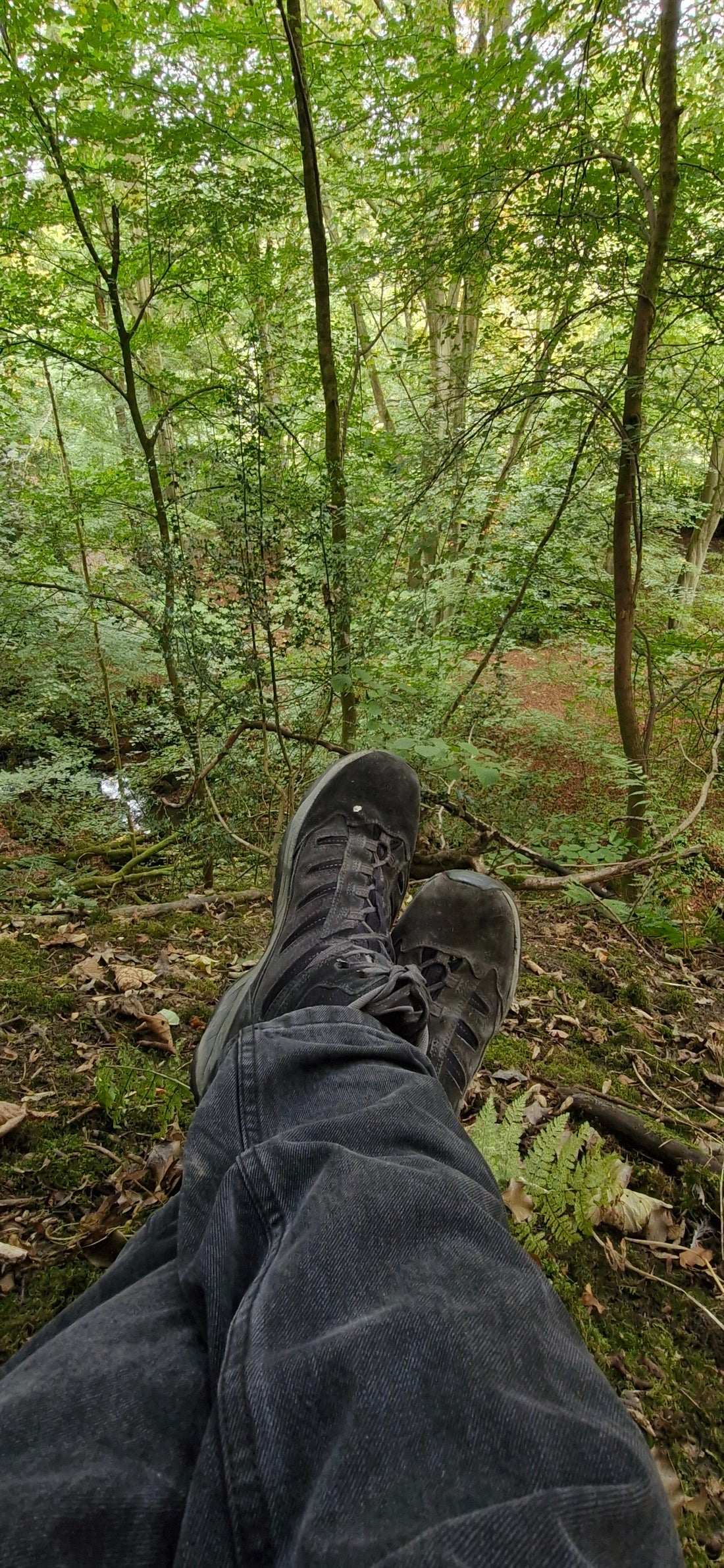 field Notes: I Came Here to Ground Myself