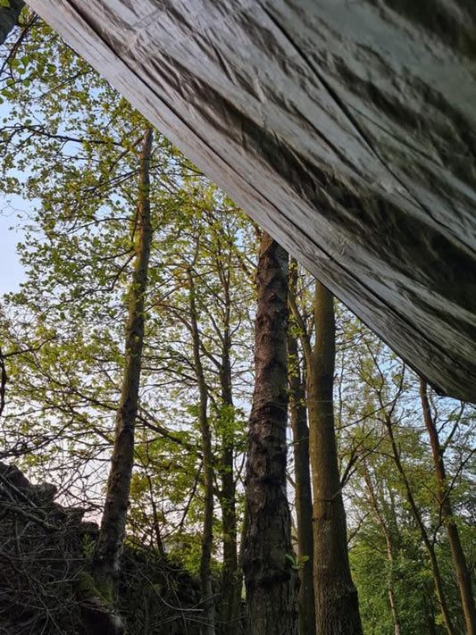 Field Notes: Finding Quiet