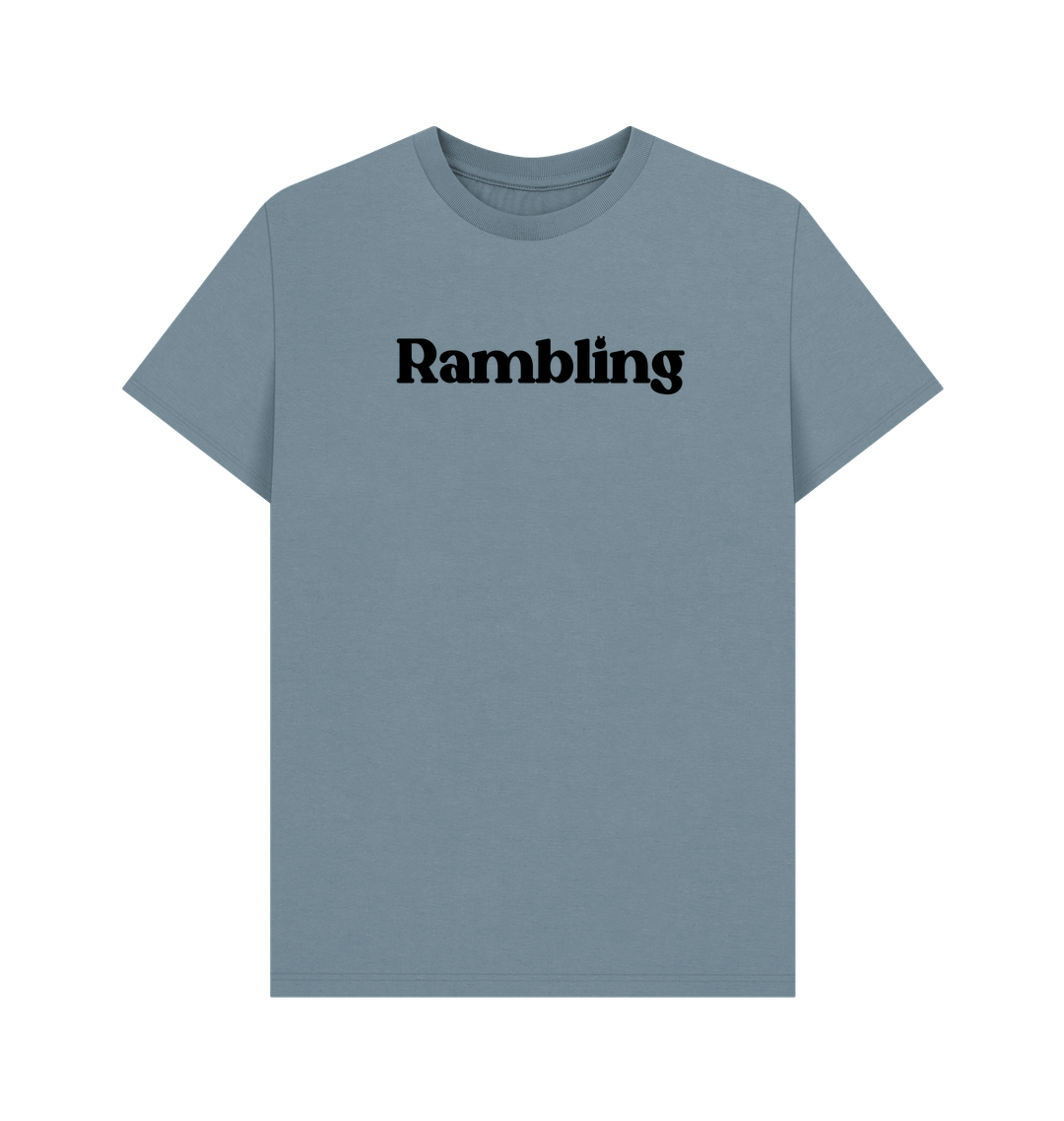 Stone Blue Printed T-shirt Front